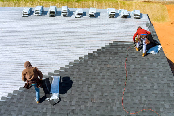 Best Roof Gutter Cleaning  in Friona, TX