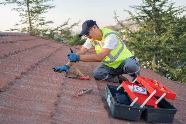 Best Flat Roof Repair Services  in Friona, TX